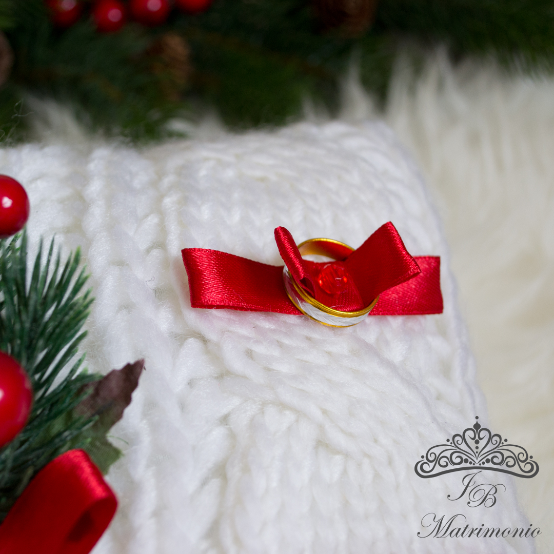 cuscino portafedi inverno 3